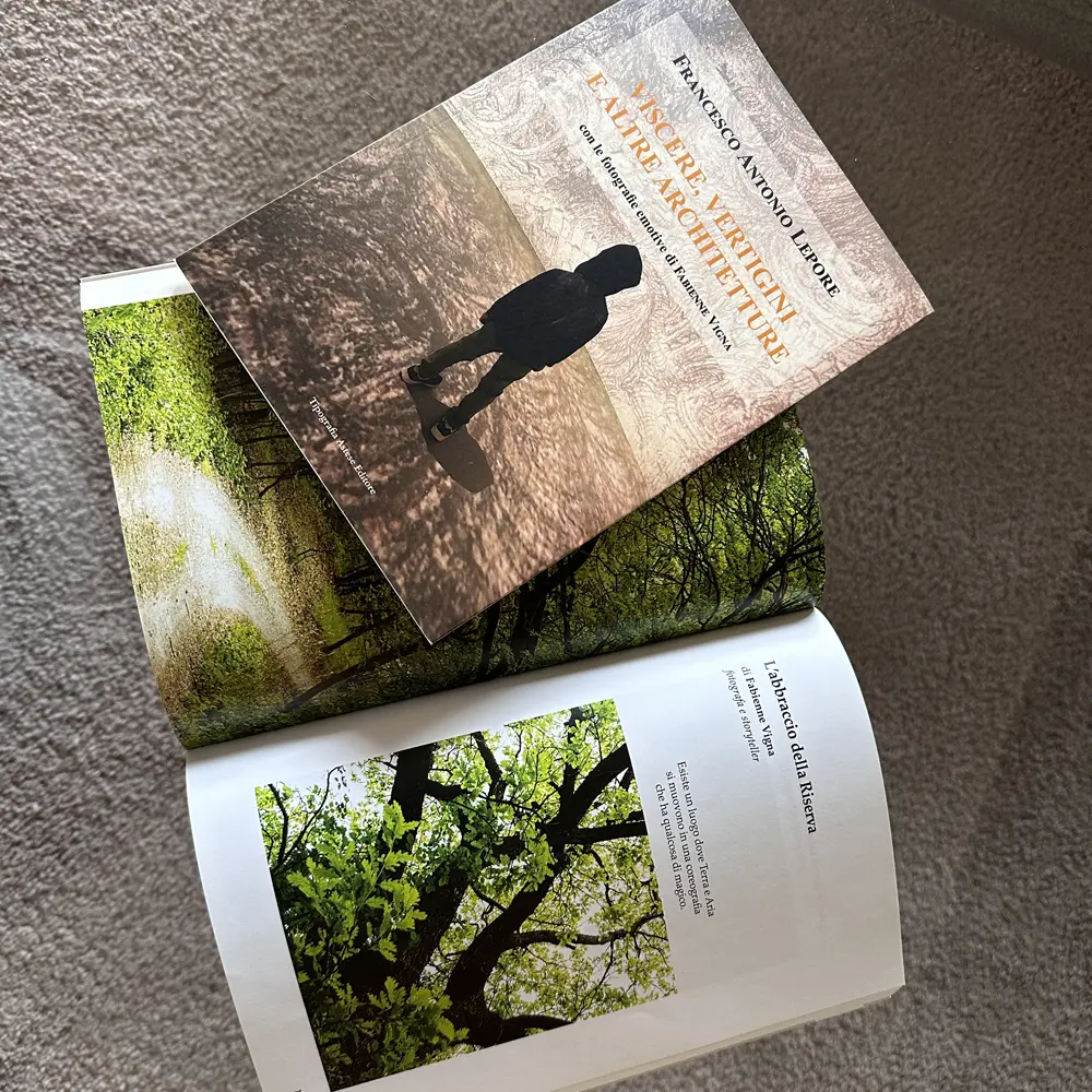 Alcuni storytelling di Fabienne Vigna